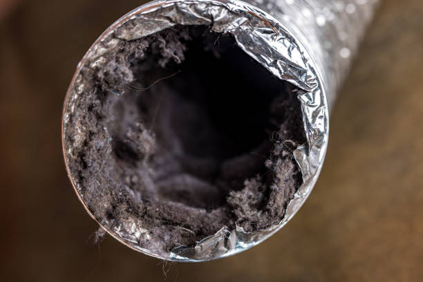 Best Best Air Duct Cleaning Near Me  in Clyde Hill, WA